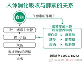 上海港日本大高酵素报关商检服务
