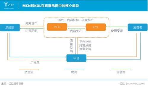 带货 的逻辑 直播电商产业链研究报告