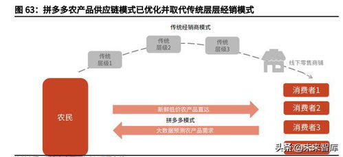 社区团购行业深度报告 聚焦家庭厨房,回归供应链升级本质